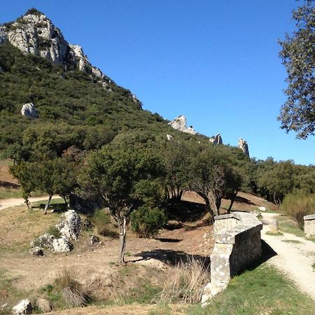 Les Lavandins-Gite Magali Saint-Rémy-de-Provence Exterior foto